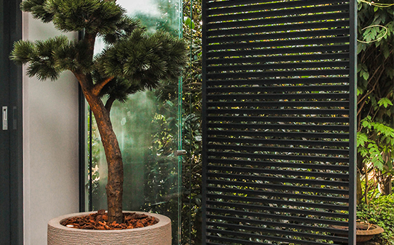 Roa pot with Vertura outdoor plant as decoration in luxury canopy – Van Beem Buitenleven